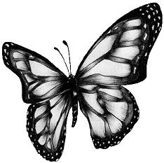 dibujos-mariposas-peq2